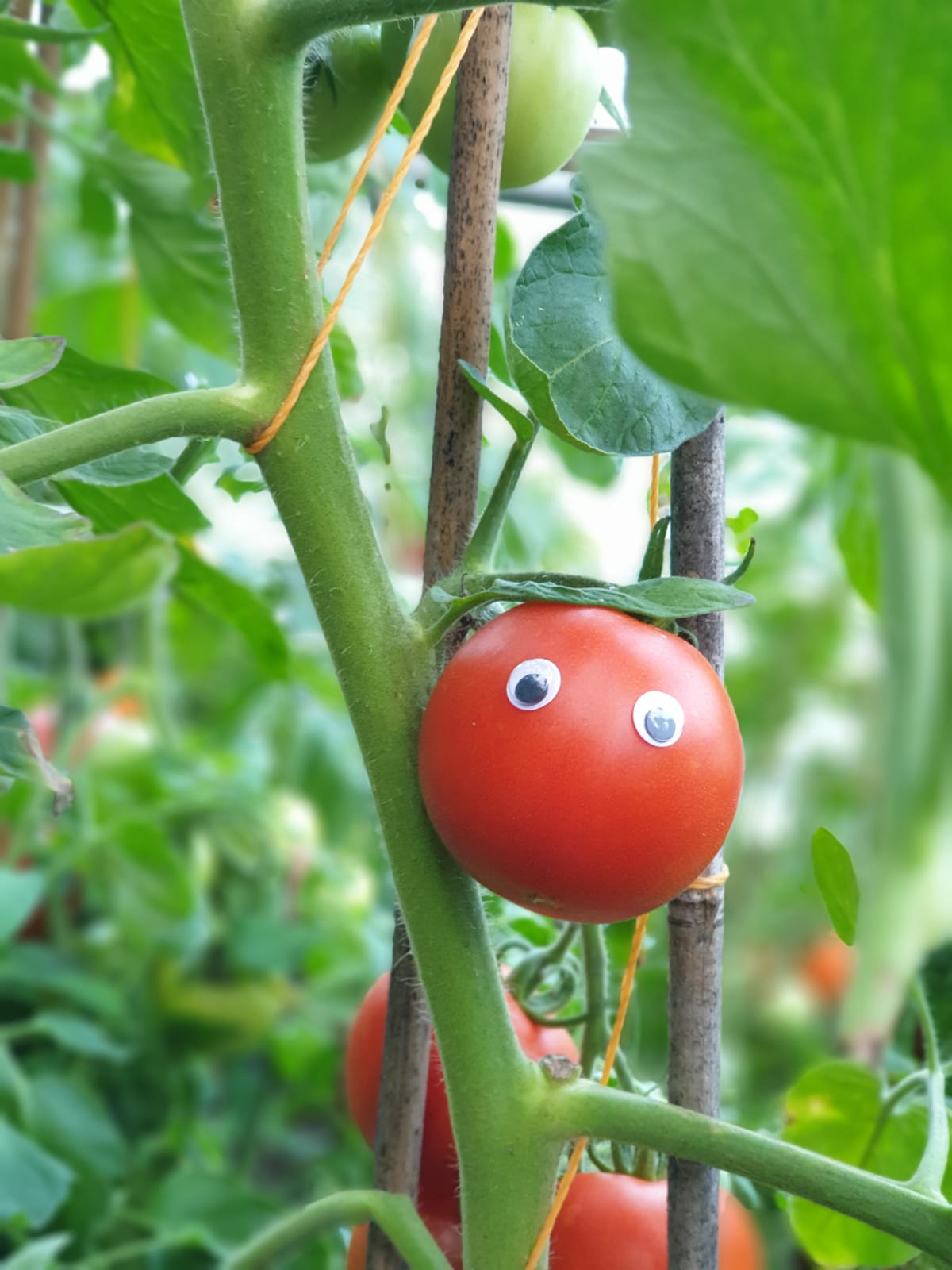 0643ac84-f52c-4f50-b62a-fc71088622fb